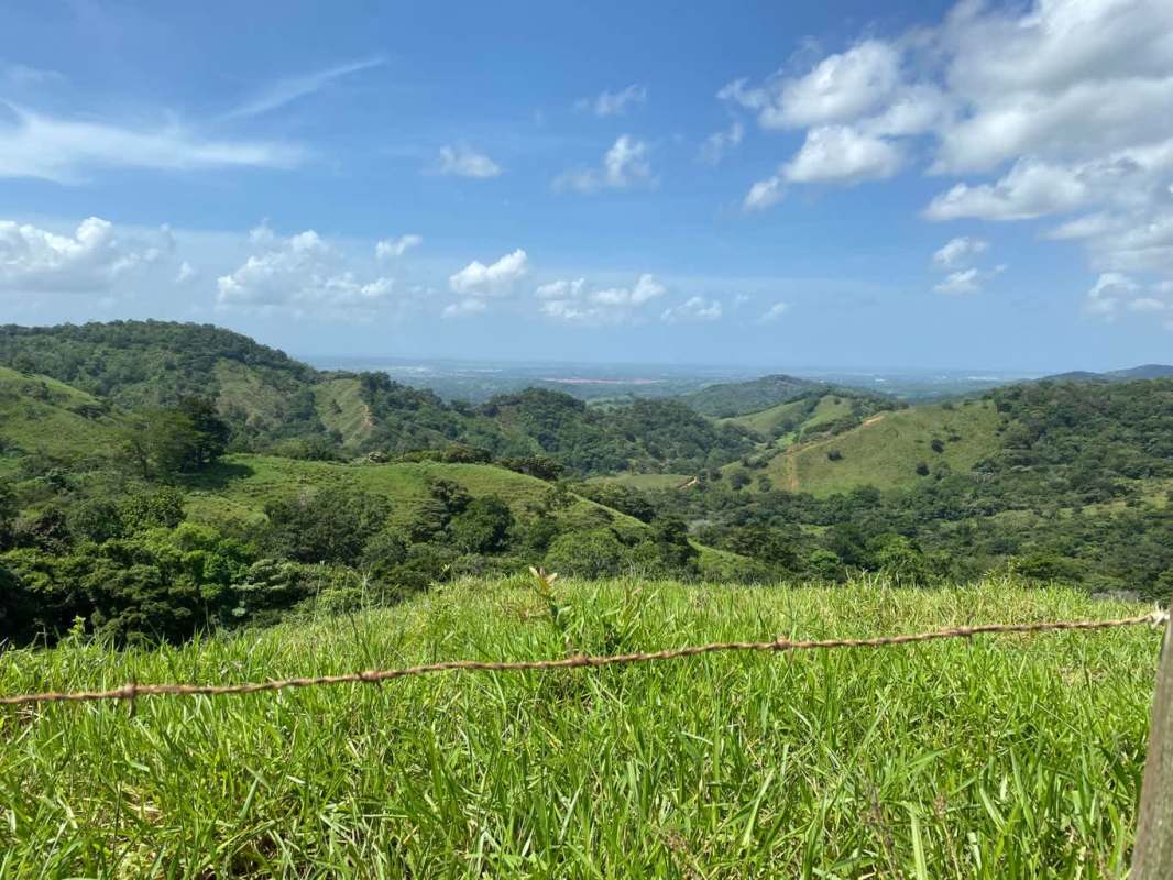Crystal river shallow rocky bed lush forest Paso Blanco Pacora acreage