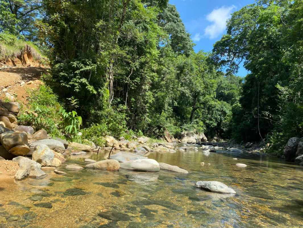 Clear shallow river with large rocks dense forest Paso Blanco Pacora estate