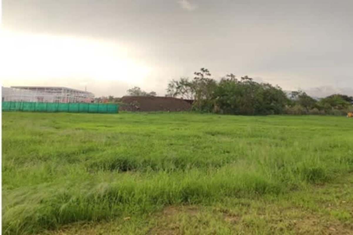 Flat green commercial lot with city view in Santa María Business District Panama