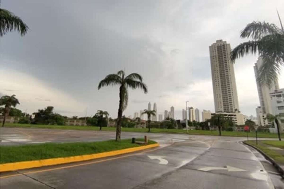 Paved street with palm trees adjacent to development land in Santa María Business District Panama