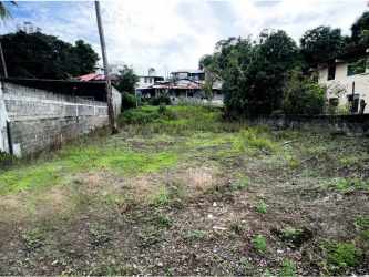 Vacant grassy commercial lot with adjacent apartments and street view in La Pulida Panama City
