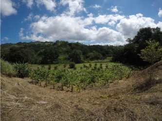Wide open country acres with mountains and blue sky Panama mountain farm land