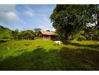 Wooden rustic cabin on large farmland with animals and lush greenery Cerro Azul