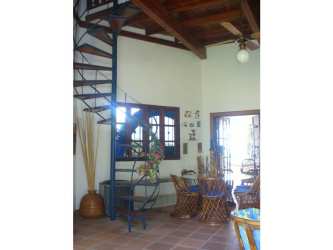 Lush garden area with shade trees and direct beach access at Coronado property