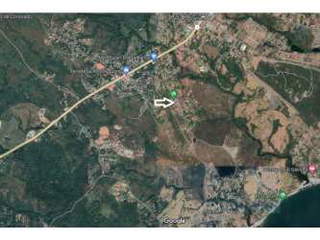 Land for Sale in San Carlos - 0 bedrooms