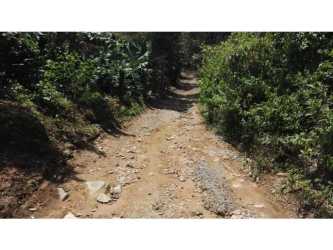 Entrance dirt road with rocky ground and forest vegetation Boquete Chiriquí Panama