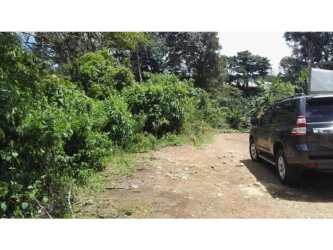 SUV parked near wooded countryside lot with lush green Boquete mountain zone