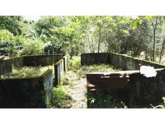 Old concrete foundation overgrown with vegetation on countryside land Boquete