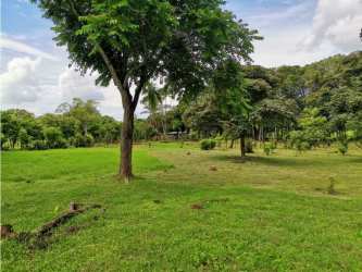 Large open flat meadows for crops or grazing at Bejuco Chame farm for sale