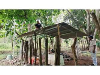 Makeshift shed animal pen for small livestock on farm land Bejuco Chame Panama