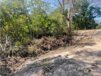 Dirt clearing with shrubs and woods near residential project area in Costa Esmeralda Panama