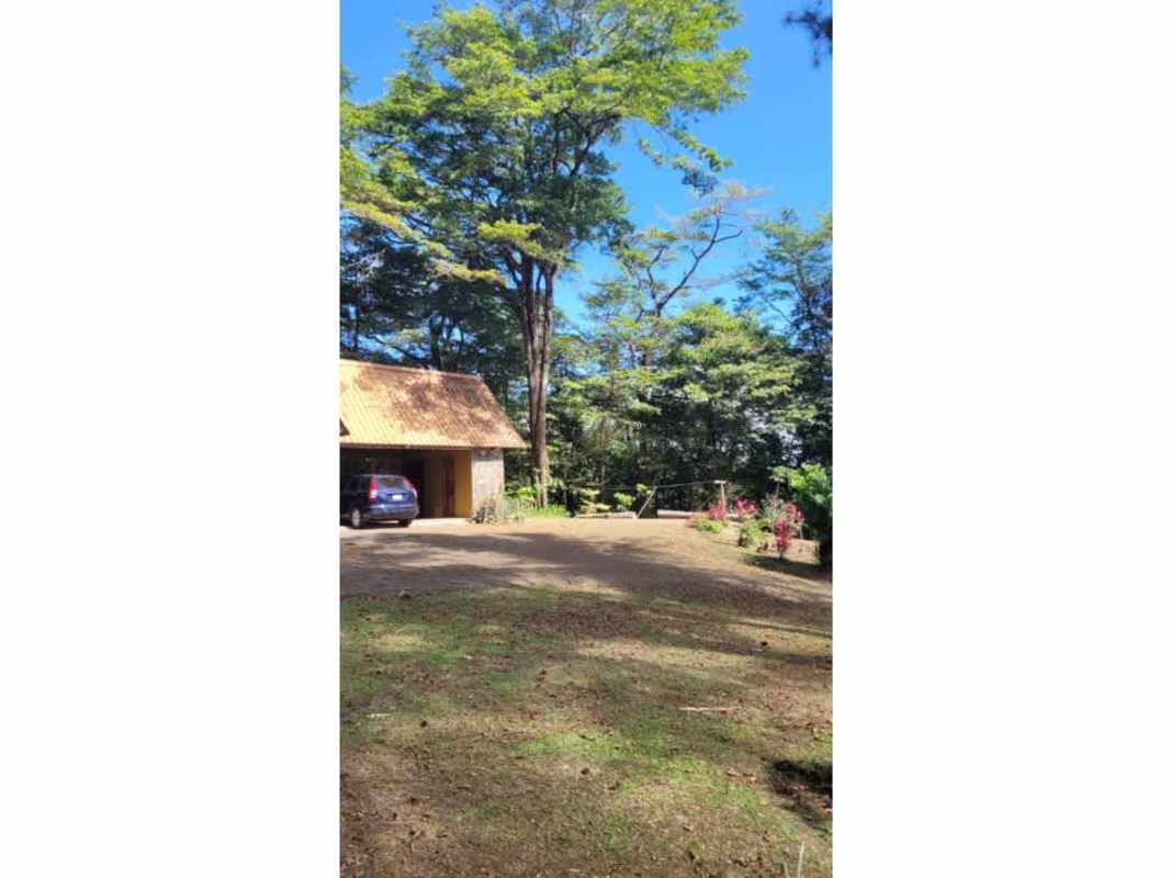 Living room with brick fireplace, deer decor, rustic holiday design at Cerro Azul estate