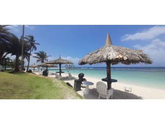 Private tropical beach with palm trees and huts at Playa Escondida Panama