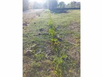 1500m2 Lot for Sale inside Coronado Beach Community