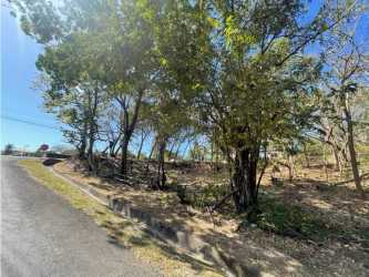 Street view of corner lot with mature trees inside beachfront Costa Esmeralda San Carlos Panama