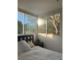 Bright bedroom with corner windows filled with sunlight and lush tree view PH Playa Blanca Río Hato Panama