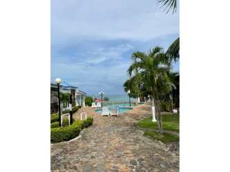 Swimming pool with ocean view surrounded by palm trees and gardens in Costa Grande Beach Village Gorgona Panama