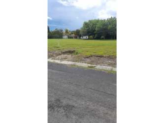 Large flat residential lot near golf course with greenery in Palmeras del Golf Coronado