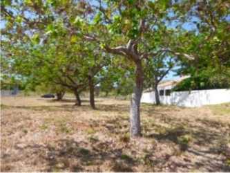 Drone aerial image shows Alcazar Park community with residential lot location outlined in Playa Coronado Panama