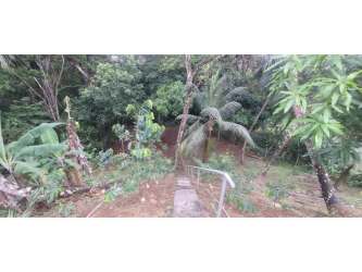 Furnished 8BR House with 4 Apartments in Margarita Colón