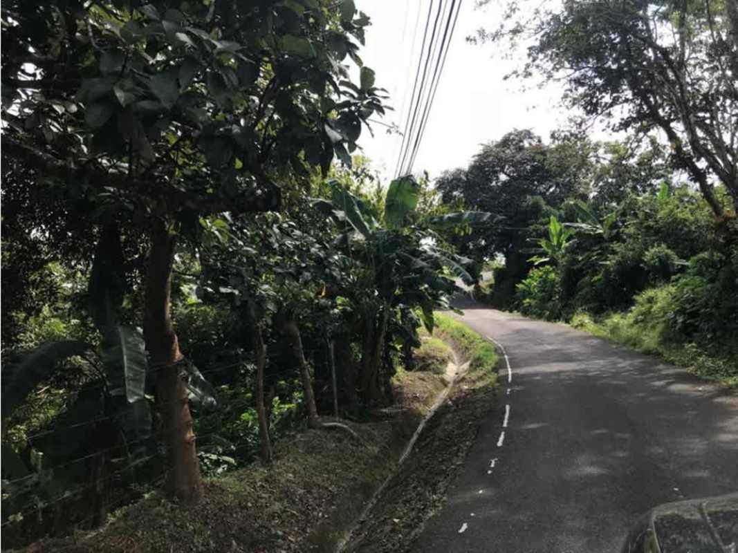 Road leading through natural tropical vegetation towards available industrial land Chilibre Panama