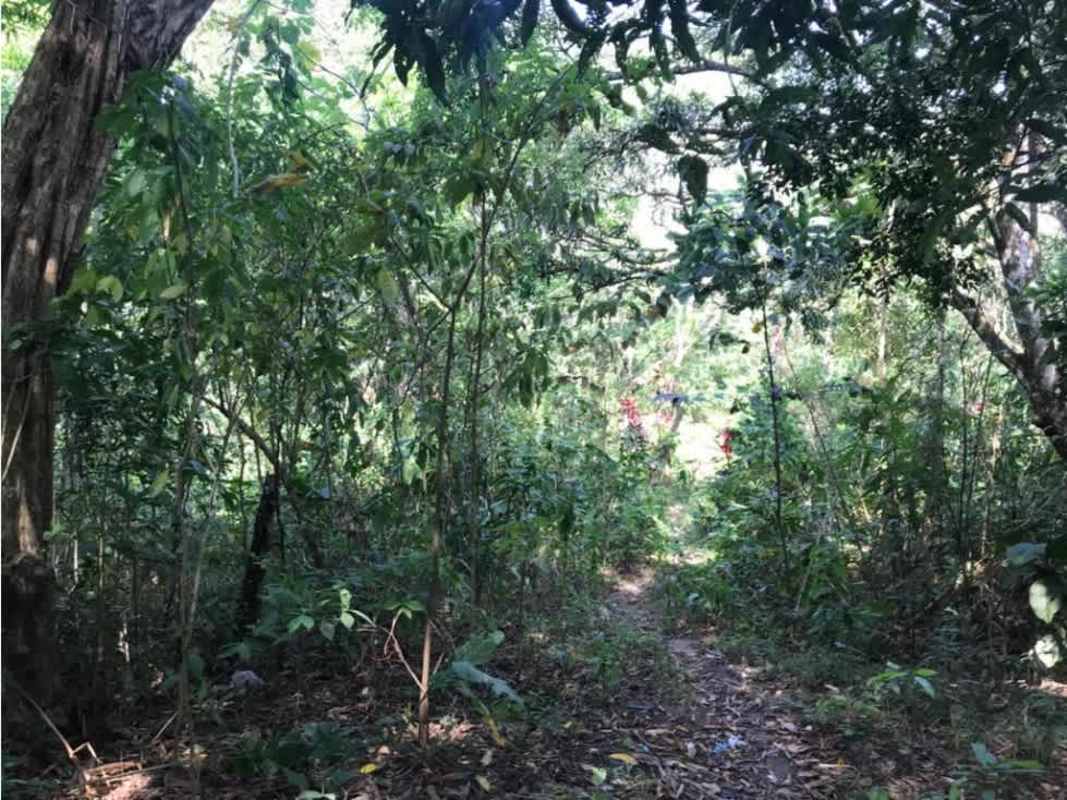 Industrial land parcel with dense greenery ideal for warehouse truck depot in Chilibre Panama