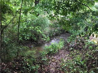 Land for Sale in Chilibre - 0 bedrooms