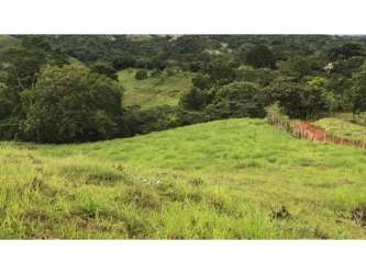 Wide open pastures mixed with wooded areas on rural land in Colón Province Panama