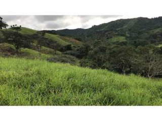 Land for Sale in Donoso - 0 bedrooms