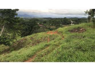 Panoramic view of green fields hills and trees in rural Panama countryside