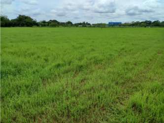 Expansive flat undeveloped commercial land site for sale along Pan-American Highway in Veraguas Panama