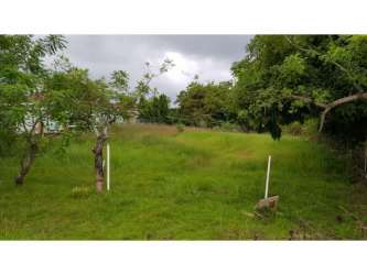 Grassy vacant plot with natural trees ideal for home or investment Coronado Panama