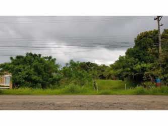 Open plot of grassy land with trees and dirt roadside in Coronado Panama for sale