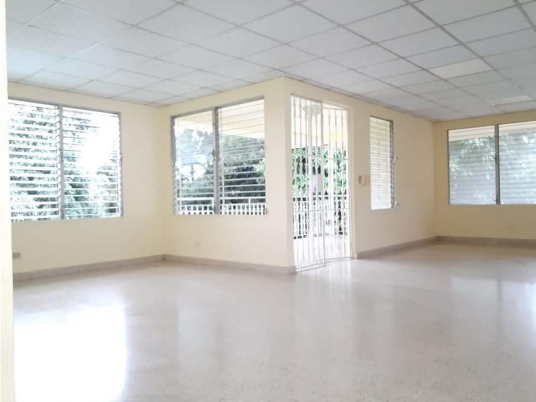 Spacious garden with mature tree and pink blossoms at Villa Zaita property for rent