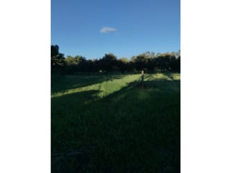 Expansive flat farmland with mountain view ideal for development in Coronado Boulevard Panama
