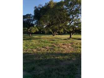 14 Hectares of Flat Land on Coronado Boulevard