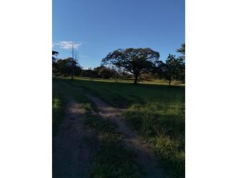 Panoramic countryside flat land with scattered trees inside Coronado Panama for development