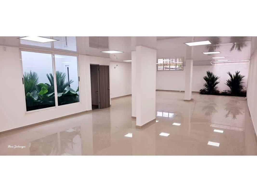 Bright open commercial space with ceramic floors, indoor plants and large windows in Parque Lefevre