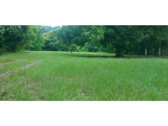 Flat 4560m² Fenced Land in El Esvape Chame Panama