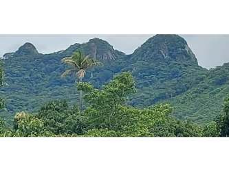 Large fenced flat grassy lot with mountain views for sale Panama