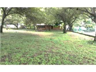 Vegetated lot suitable for development, fenced, near beach in Nueva Gorgona Panama