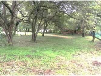 Flat large fenced lot with trees for sale in Nueva Gorgona Panama near beaches