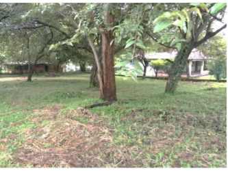 945 sqm lot with trees and fencing in Nueva Gorgona Panama Oeste near beach
