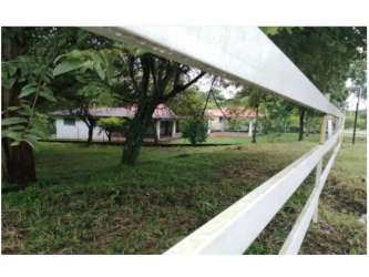 Flat fenced plot with trees and easy access in Nueva Gorgona Chame Panama