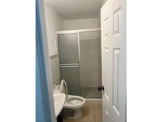 Lush gardens with palm trees at Coronado luxury home