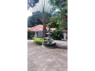 Lush tropical garden with fruit trees and water fountain estate for sale in Coronado Panama