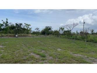 Open flat land plot ready for building with utility pole access San Carlos Panama