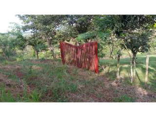 Land for Sale in El Coco - 0 bedrooms