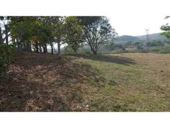 Open rural land with trees fencing panoramic countryside La Chorrera Panama