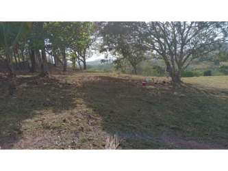 Clear lot with mature trees scenic countryside Potrero Grande La Chorrera Panama